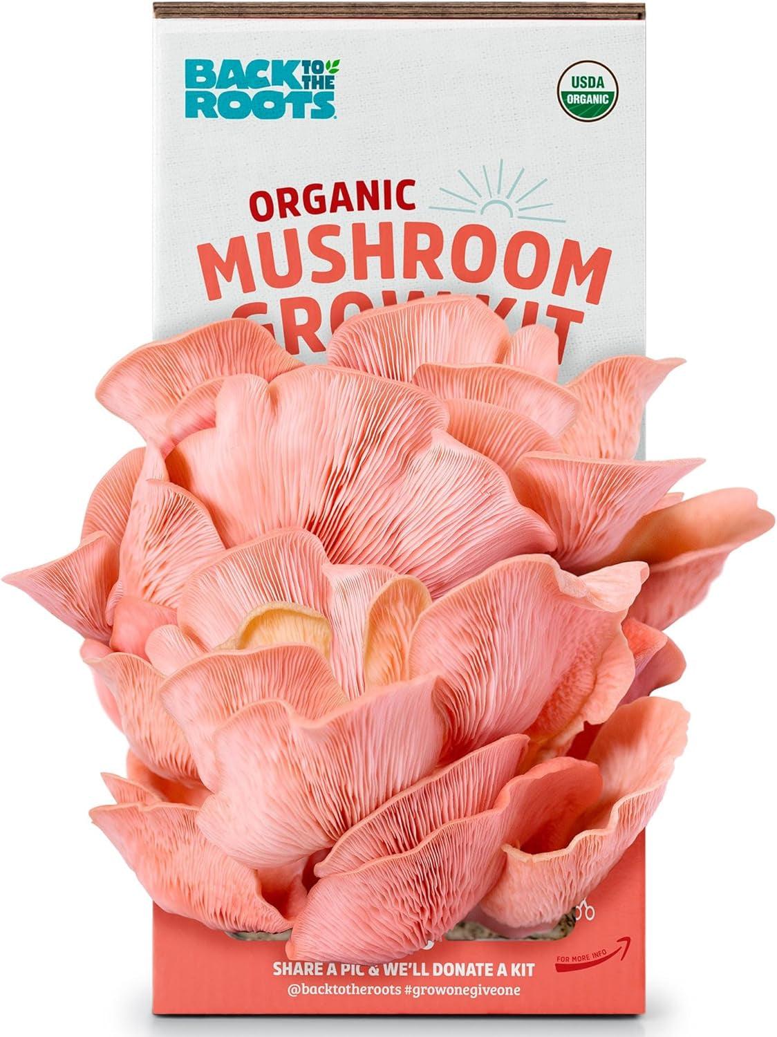 Organic Non-GMO pink mushrooms growing from a 10-day indoor grow kit box labeled Back to the Roots