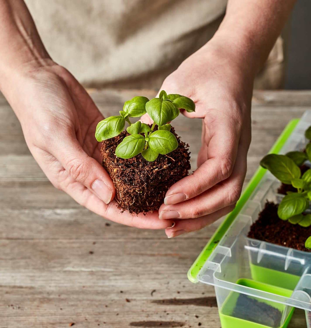 Reusable Superseed Seed Starting Tray 