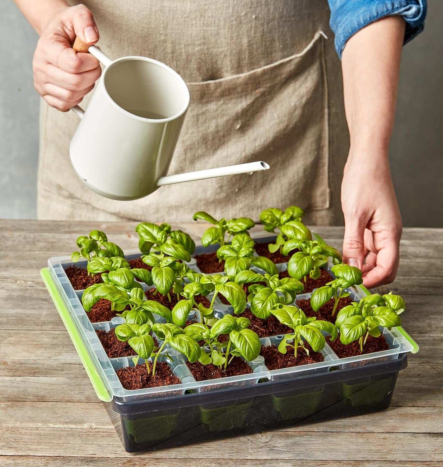 Reusable Superseed seed starting tray with 16 flexible silicone cells and deep channels for watering young seedlings.