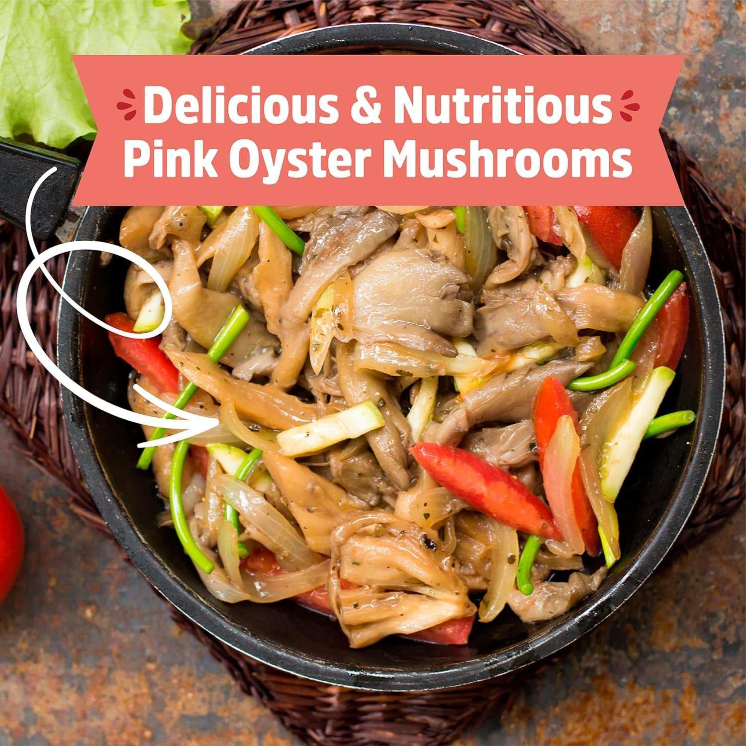 Organic Non-GMO Pink Mushroom 10 Day Grow Kit 