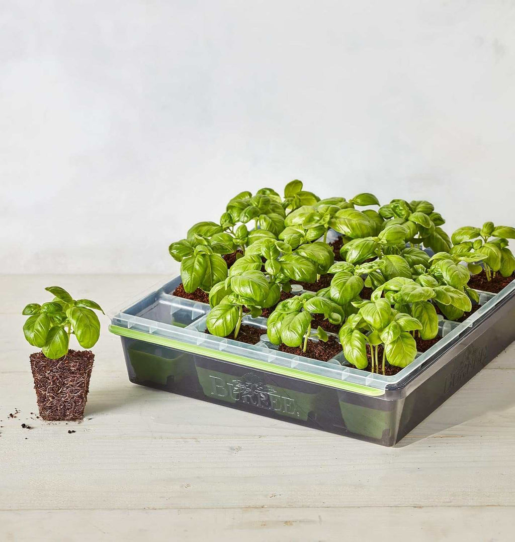 Reusable Superseed Seed Starting Tray 