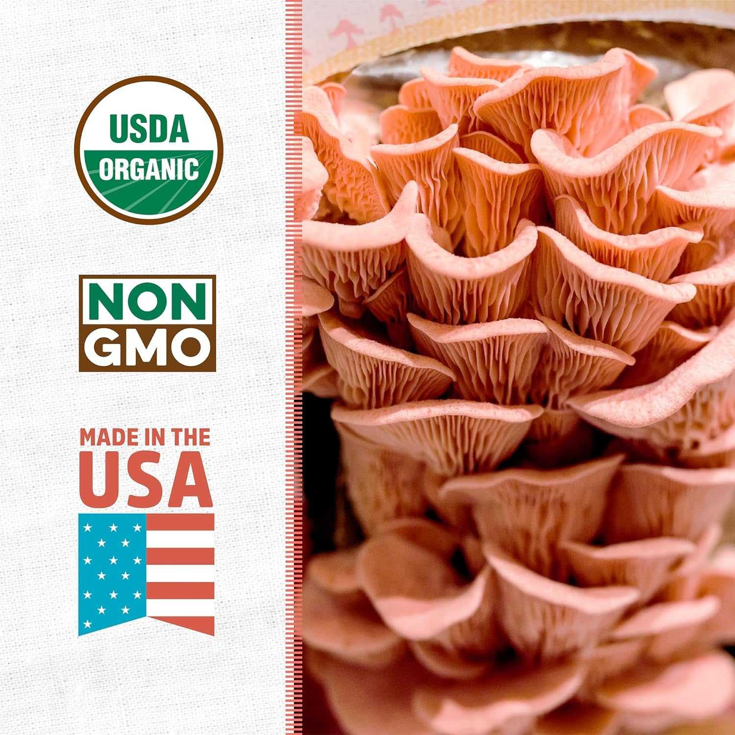 Organic Non-GMO Pink Mushroom 10 Day Grow Kit 