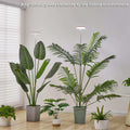 Indoor LED plant grow lights with adjustable height and full spectrum LEDs promoting healthy plant growth