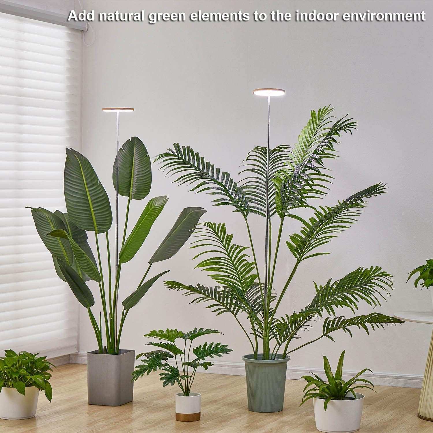 Indoor LED plant grow lights with adjustable height and full spectrum LEDs promoting healthy plant growth