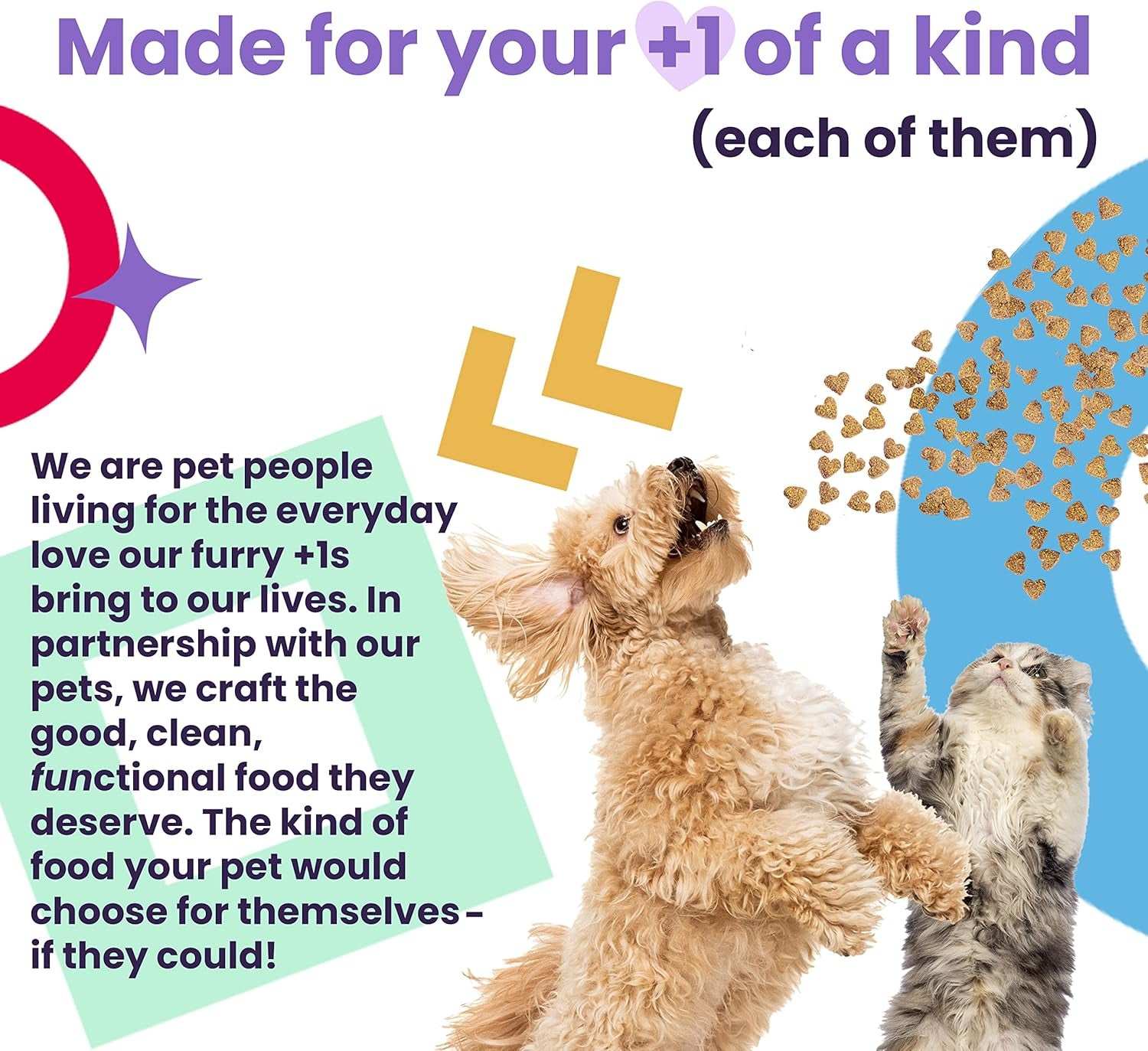 Naked Essentials Dry Dog Food for Puppies - Chicken + Lentils - High Protein, Real Meat, No Fillers, Prebiotics + Probiotics, 4Lb Bag