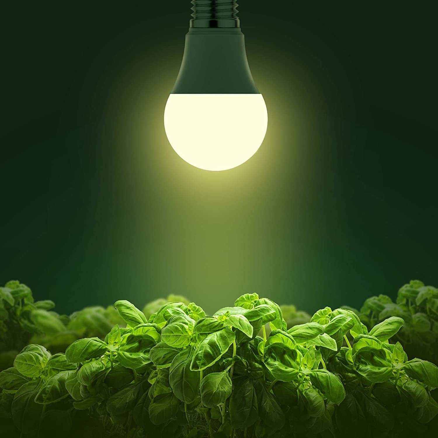 Grow Light Bulbs, LED Grow Light Bulb A19 Bulb, Full Spectrum Grow Light Bulb, Plant Light Bulbs E26 Base, 11W Grow Bulb 100W Equivalent, Grow Light for Indoor Plants, Seed Starting, 6 Pack
